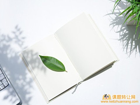 副高职称评定国家级子课题可以吗
