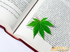 美术方向教育规划课题名称参考推荐